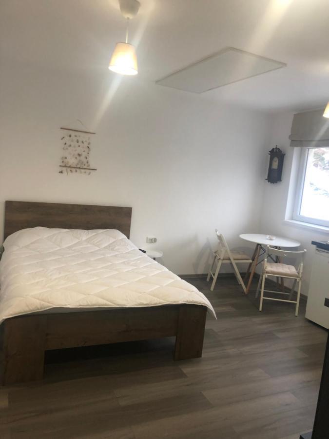Garsoniera La Munte Appartement Azuga Buitenkant foto